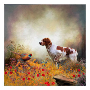 Póster Brittany Spaniel, caçando faisão
