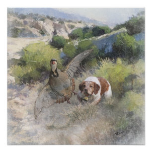 Póster Brittany Spaniel caçando partucho chukar, Art