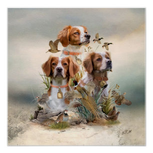 Póster Brittany Spaniel, Paixão por Aves