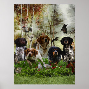 Poster Brittany Spaniels, Caça de Pássaros