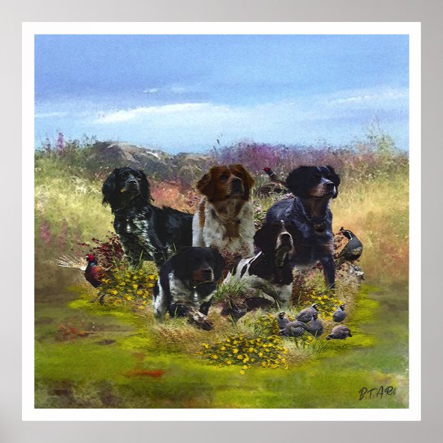 Poster Brittany Spaniels , Estação de Caça de Pássaros (Frente)