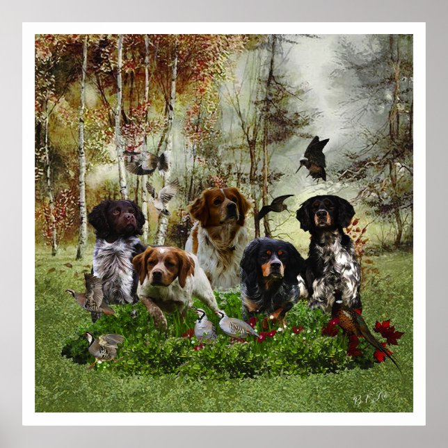 Poster Brittany Spaniels , Estação de Caça de Pássaros (Frente)
