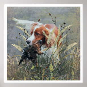 Poster Brittany Spaniels , Estação de Caça de Pássaros