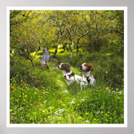 Poster Brittany Spaniels , Estação de Caça de Pássaros