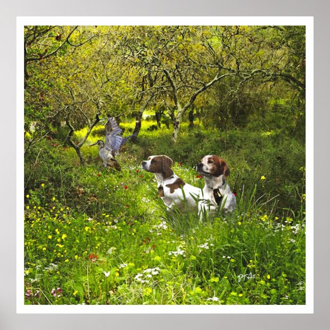 Poster Brittany Spaniels , Estação de Caça de Pássaros (Frente)