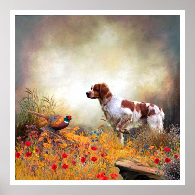 Poster Brittany Spaniels , Estação de Caça de Pássaros (Frente)