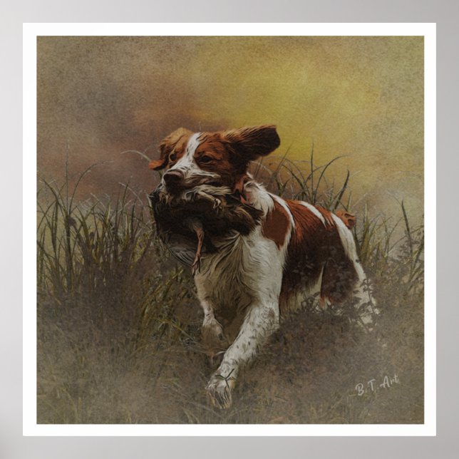 Poster Brittany Spaniels , Estação de Caça de Pássaros (Frente)
