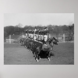 Poster Broca do macaco, 1920