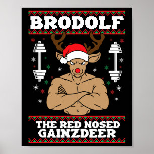 Poster Brodolf Natal Divertido Rena Bufante Academia Musc