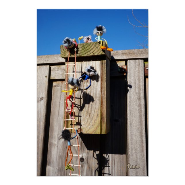 Póster Broedkast vogelhuisje dat beklommen fubby's (Frente)