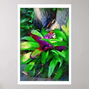 Póster Bromeliad tropical