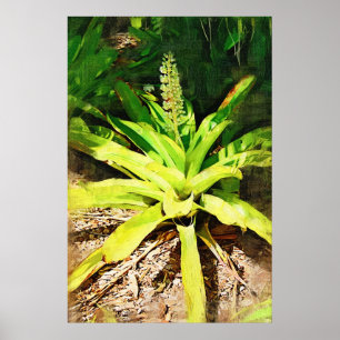Poster Bromeliad tropical - caminhada no jardim