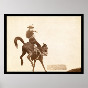 Poster Bronco Bucking SD 1888