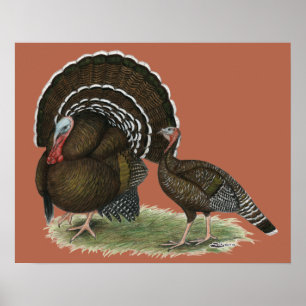 Póster Bronze do padrão de Turquia