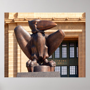 Póster Bronze Jayhawk