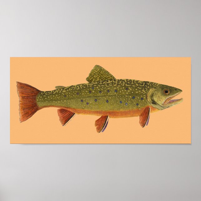 Poster Brook Trout (Frente)