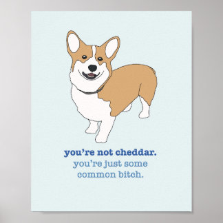 Poster Brooklyn 99 Cheddar