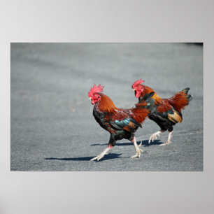 Póster "Bros em um Stroll "