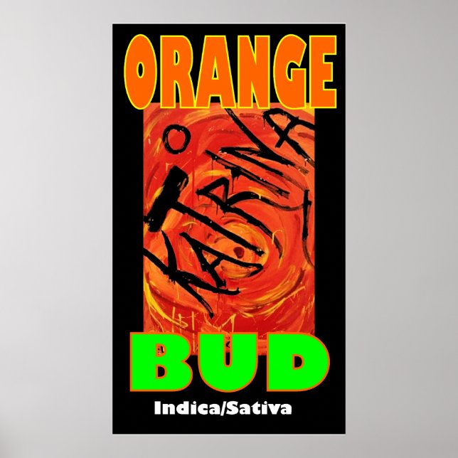 POSTER BROTO LARANJA KATRINA (Frente)
