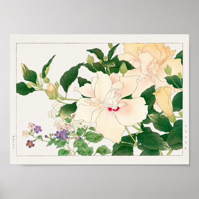 Poster Browallia, Hibiscus por Tanigami Konan (Frente)