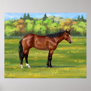Poster Brown Bay Quarter Horse