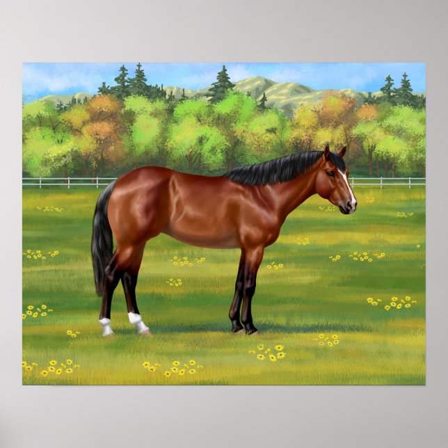 Poster Brown Bay Quarter Horse (Frente)