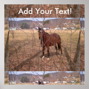 Póster Brown Fazenda Horse West Virginia