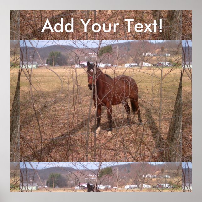 Póster Brown Fazenda Horse West Virginia (Frente)