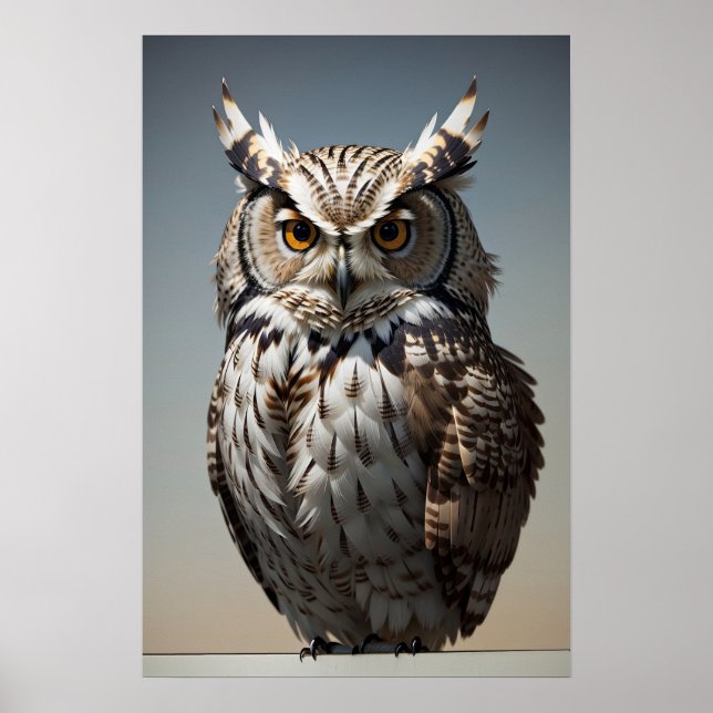 Poster Brown Owl (Frente)