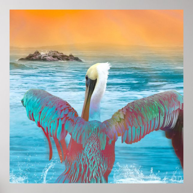 Poster Brown Pelican ISLAND SUNSET (Frente)