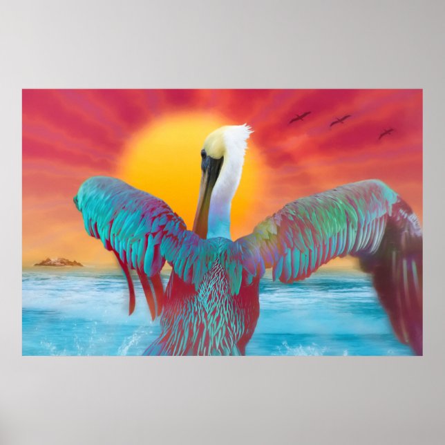 Poster Brown Pelican ISLAND SUNSET (Frente)