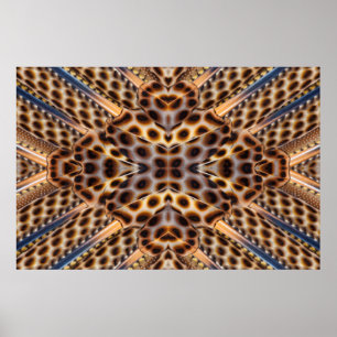 Póster Brown pheasant feather kaleidoscope