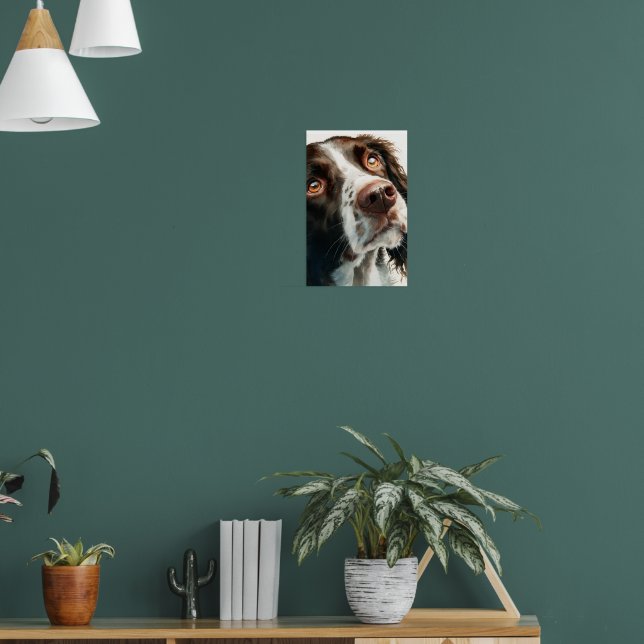 Poster Brown springer spaniel  (Sala de Estar 1)