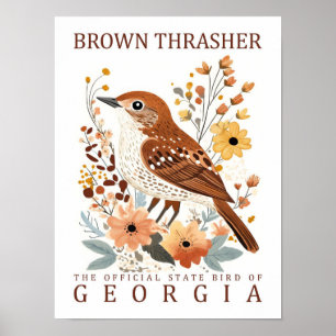 Poster Brown Thrasher Bird, Viagem da Georgia USA
