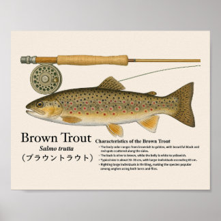 Poster Brown Trout – English Art Print
