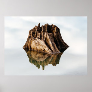POSTER BROWN WOODEN FRAME