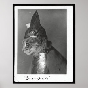 Poster Brunhilda Brunhilda Brynhild Brünhilde Cat