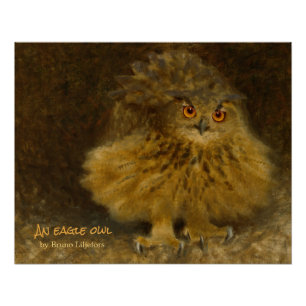 Póster Bruno Liljefors Eagle-owl 1905 CC1176 Wildlife