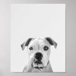Poster Bruno, o Bulldog Americano