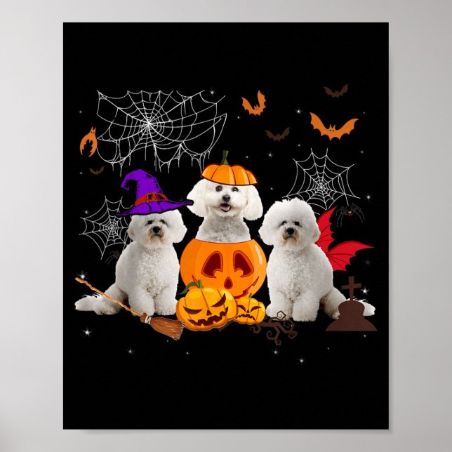 Poster Bruxa Abóbora Engraçada Bichon Frise Cachorro Hall (Frente)