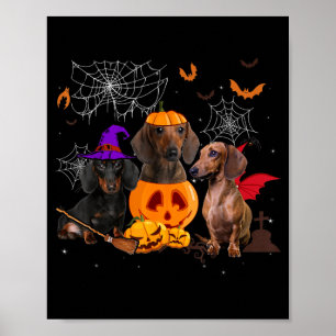 Poster Bruxa de Abóbora Engraçada Dachshund Combinando Ca