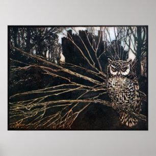 Póster Bruxa em Coruja