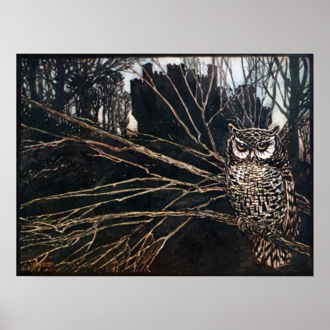 Póster Bruxa em Coruja (Frente)