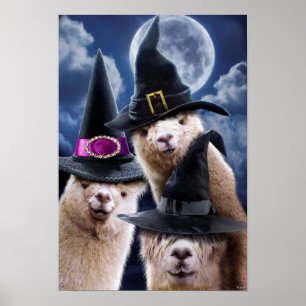 Poster Bruxas Alpaca