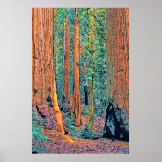 Póster bruxas faa24