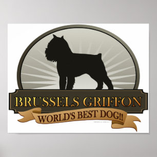 Póster Bruxelas Griffon