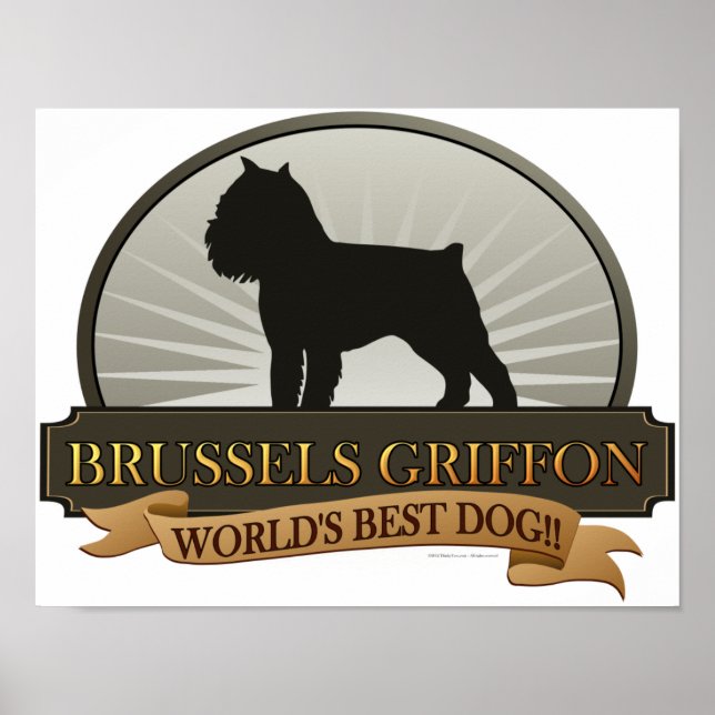 Póster Bruxelas Griffon (Frente)