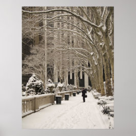 Poster Bryant Park Snow