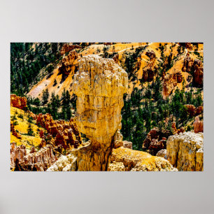 Poster Bryce Canyon Robot Man