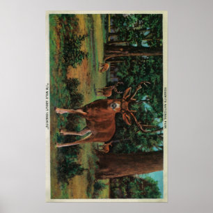 Poster Buck Deer at Yosemite National Park